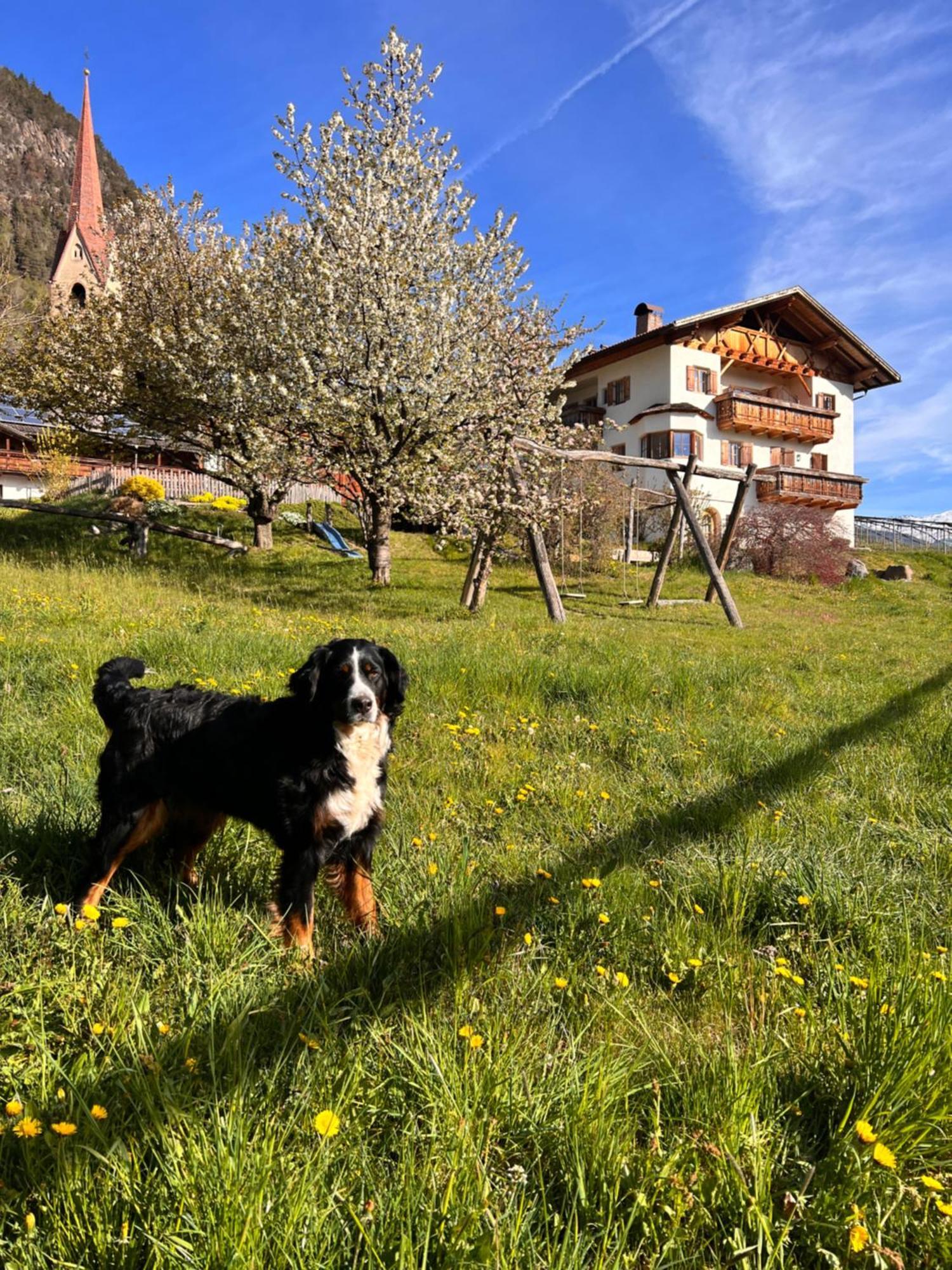 Gasserhof Barbiano  Exterior photo