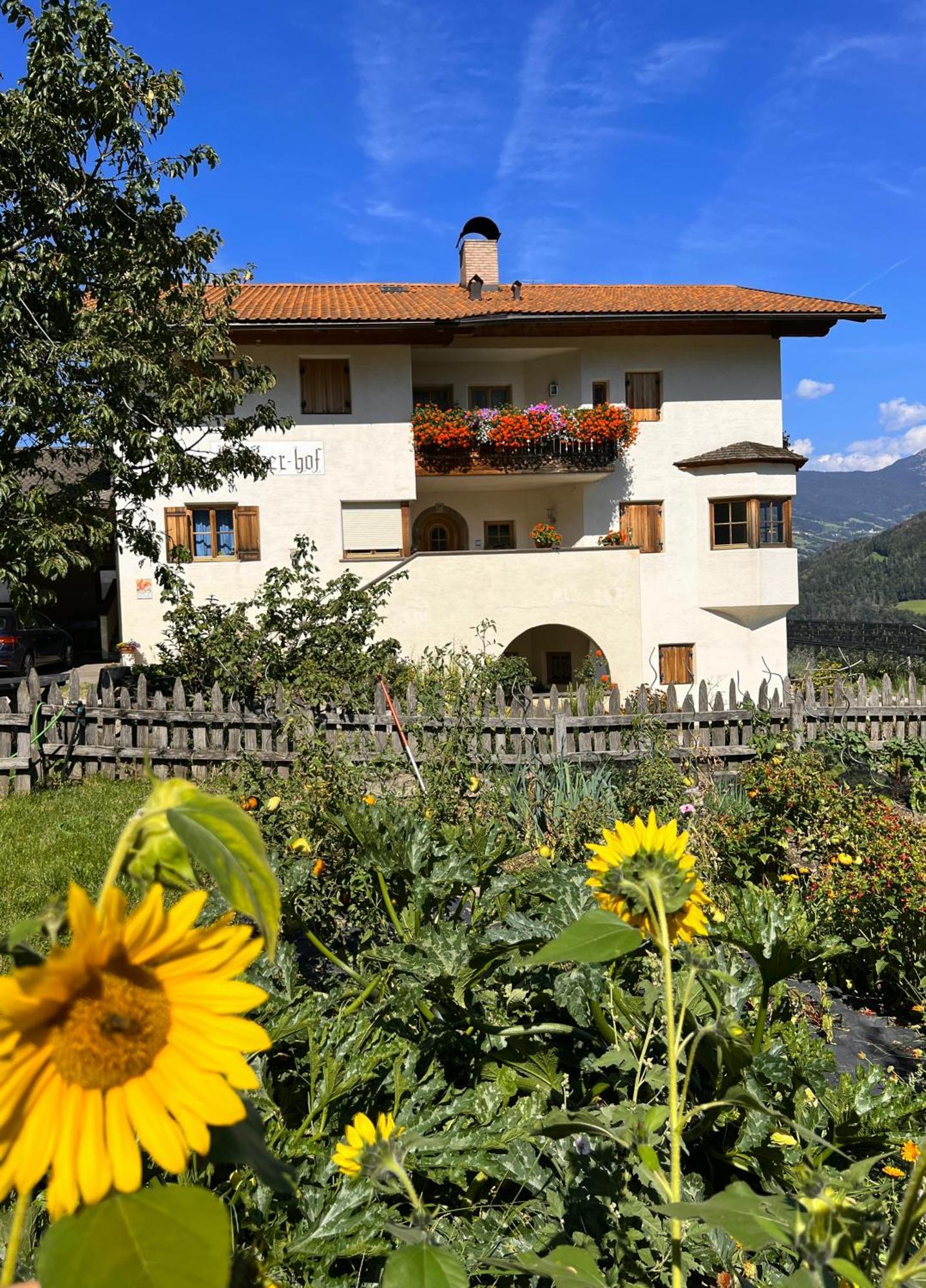 Gasserhof Barbiano  Exterior photo